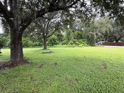36910 Sunshine Road, Zephyrhills FL - photo 6 of 21