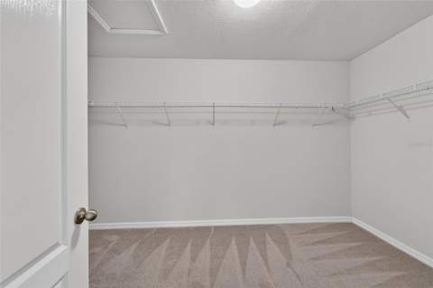 11628 Lake Lucaya Drive, Riverview FL - photo 24 of 47