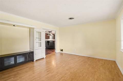 3510 Glocca Morra Drive, Apopka FL - photo 10 of 35