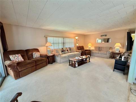 223 Hawthorne Boulevard, Leesburg FL - photo 6 of 47