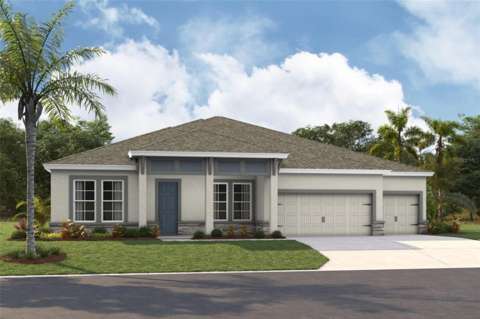5178 Spring Maiden Circle, home for sale in Apollo Beach 33572