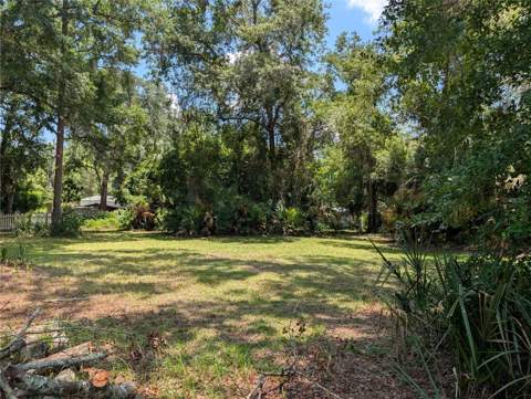 55914 Bay Road, Astor FL - photo 6 of 6