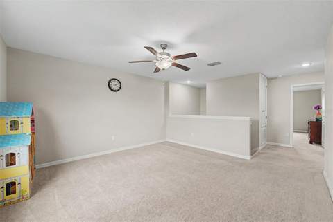 4710 Wild Senna Boulevard, Tampa FL - photo 22 of 49
