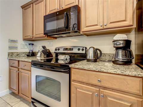 3039 Beach Palm Avenue, Kissimmee FL - photo 7 of 35