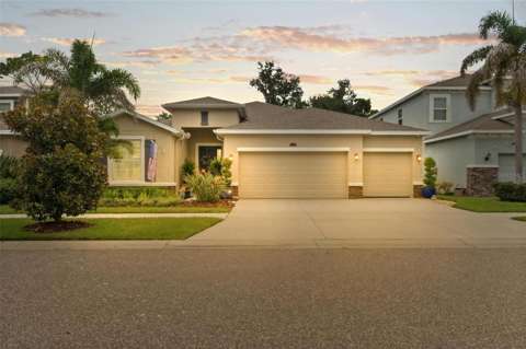 10321 Riverdale Rise Drive, home for sale in Riverview 33578