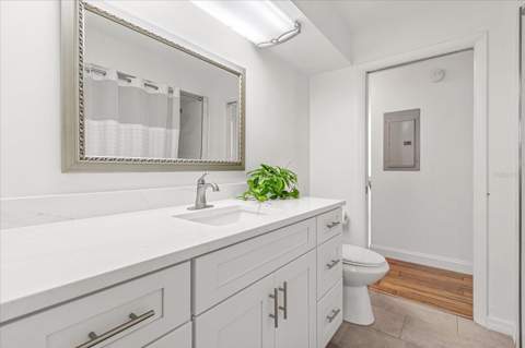 2418 Euston Road, Winter Park FL - photo 19 of 34