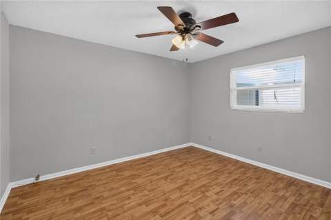 10 Linden Lane, Palm Harbor FL - photo 24 of 47