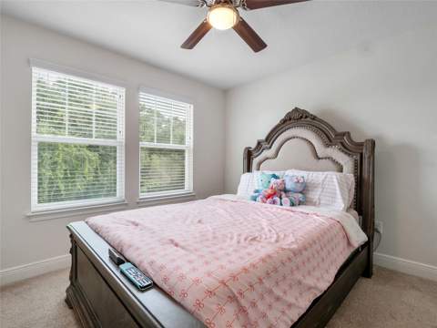 14309 Pondhawk Lane, Tampa FL - photo 22 of 42