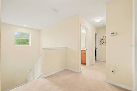 20443 Autumn Fern Avenue, Tampa FL - photo 16 of 30
