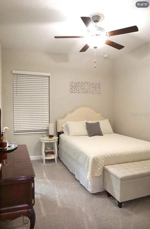 6834 Citrus Creek Lane, Tampa FL - photo 12 of 18