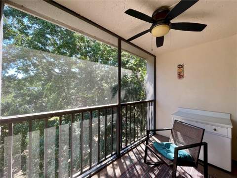 840 Virginia Street #303, Dunedin FL - photo 14 of 25