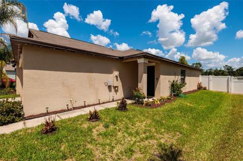 36077 Stable Wilk Avenue, Zephyrhills FL - photo 9 of 40