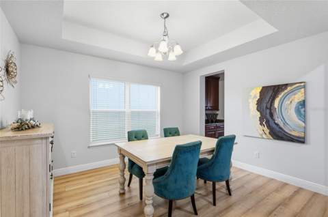 552 Egret Place Drive, Winter Garden FL - photo 9 of 41