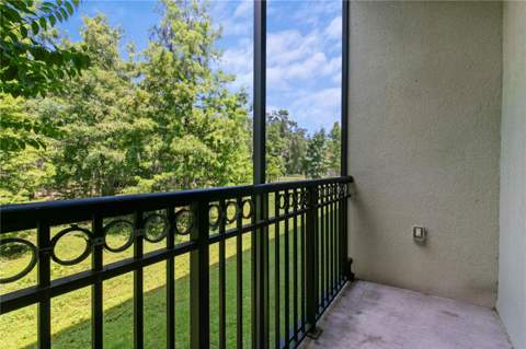 11504 Bellamar Street, Tampa FL - photo 13 of 40