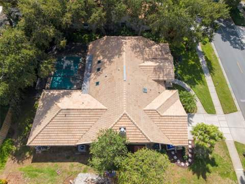 2715 Country Woods Lane, Palm Harbor FL - photo 6 of 54