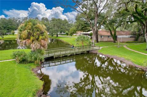 7907 Sabal Drive, home for sale in Temple Terrace 33637
