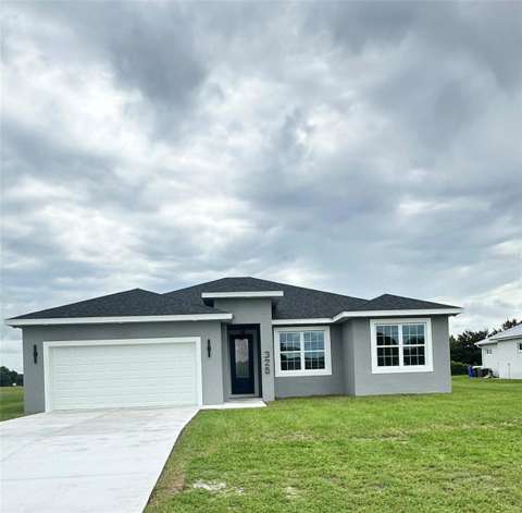 325 Costa Bravo Drive, home for sale in Sebring 33876
