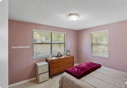 270 W McClendon Street, Lady Lake FL - photo 12 of 46