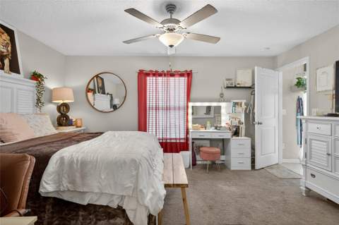 3915 Gainer Springs Avenue, New Port Richey FL - photo 19 of 34