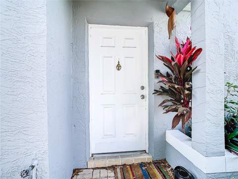 2760 Braham Court, Palm Harbor FL - photo 6 of 6