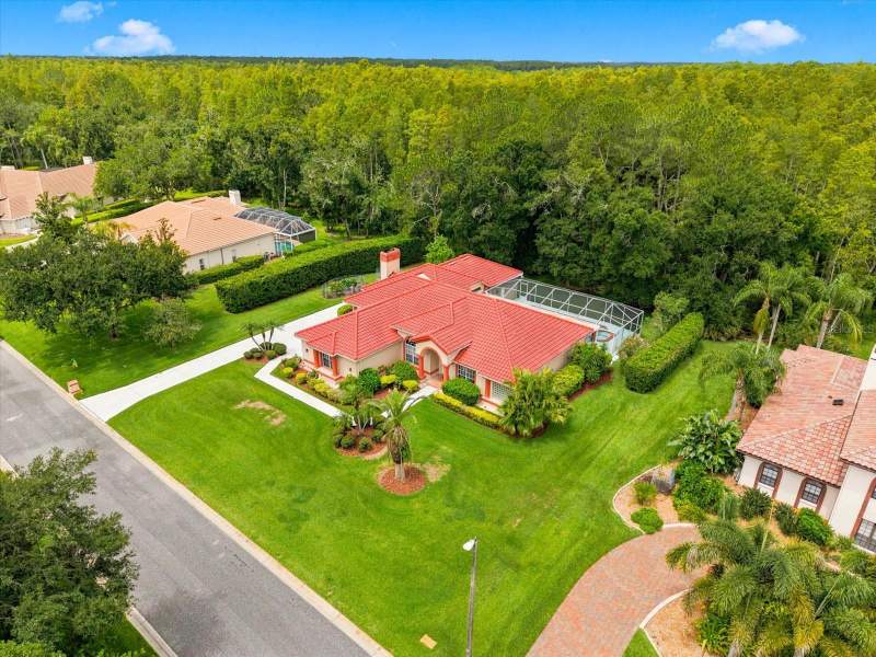 4 bedroom Single Family Residence at 18621 Avenue Capri, Cheval, Lutz — photo 5