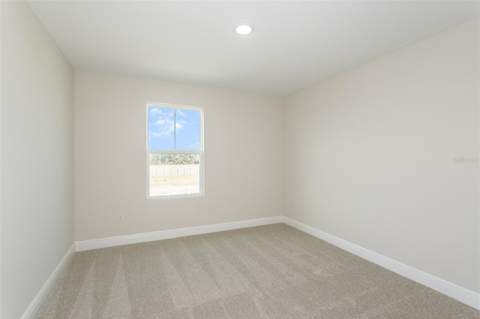 33580 Hammock Beach Way, Dade City FL - photo 18 of 30