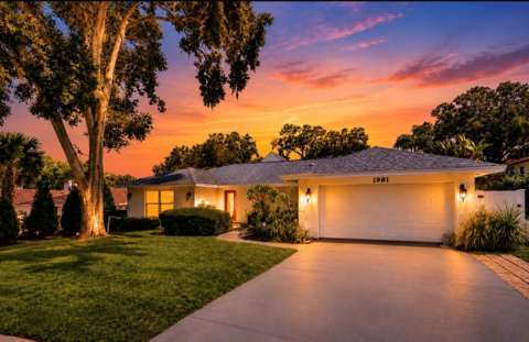 1981 Castille Drive, pool for sale in Dunedin