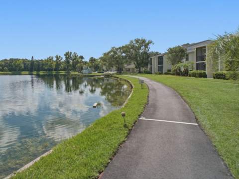 3101 Lake Pine Way #A1, Tarpon Springs FL - photo 18 of 50