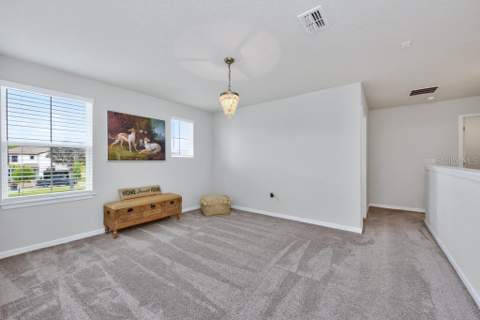 12908 Brookside Moss Drive, Riverview FL - photo 22 of 54