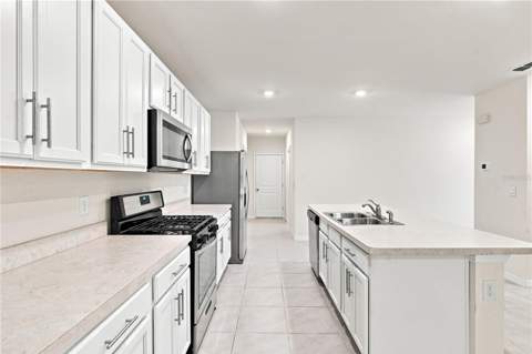 20043 Royal Tern Court, Leesburg FL - photo 14 of 55