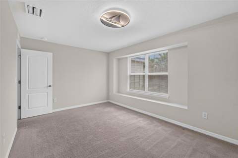 11628 Lake Lucaya Drive, Riverview FL - photo 23 of 47