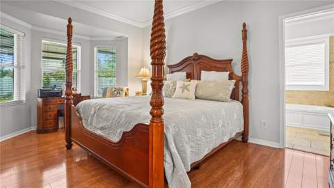 19420 Sunset Bay Drive, Land O Lakes FL - photo 16 of 55