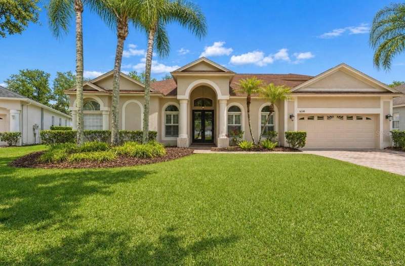 Tampa Palms Area