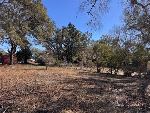 7647 Shannon Lane, Zephyrhills FL - photo 22 of 34