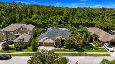 1637 Abyss Drive, home for sale in Odessa 33556