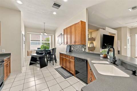 35136 Deerfield Oaks Drive, Zephyrhills FL - photo 13 of 52
