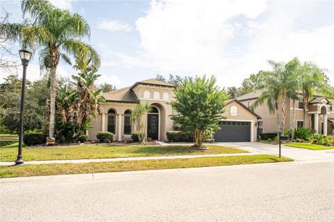15418 Princewood Lane, Land O Lakes FL - photo 6 of 6