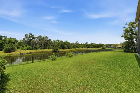 14722 Heronglen Drive, Lithia FL - photo 8 of 37