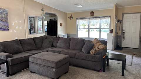 14902 NE 142nd Street, Waldo FL - photo 8 of 16