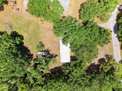 17214 Chinaberry Road, home for sale in Lutz 33558
