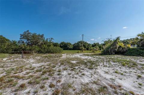 12154 Bullfrog Creek Road, Gibsonton FL - photo 8 of 23