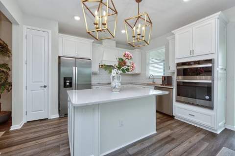12908 Brookside Moss Drive, Riverview FL - photo 11 of 54