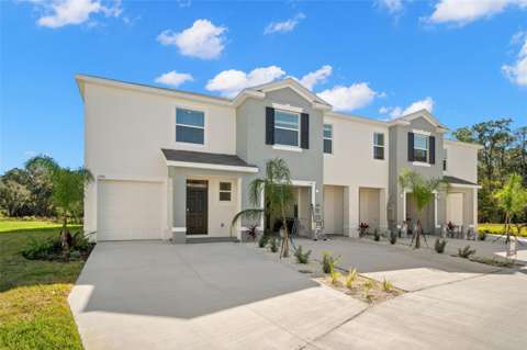 1393 Colt Creek Place, starter home for sale in Wesley Chapel