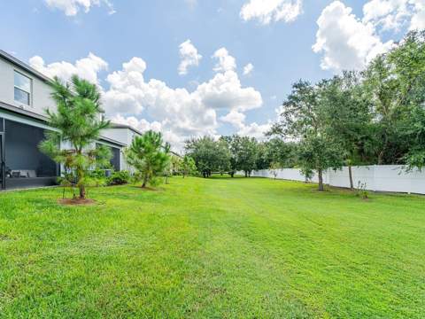 21372 Darter Road, Land O Lakes FL - photo 8 of 38