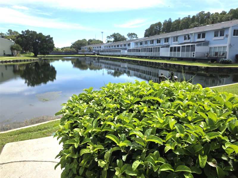5 bedroom Condominium at 1778 Samurai Point #Q4, Paradise Lakes Condo, Lutz — photo 1