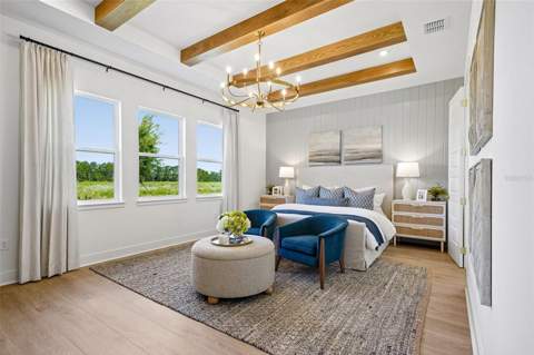 17428 Honeybell Tangelo Court, Winter Garden FL - photo 10 of 57