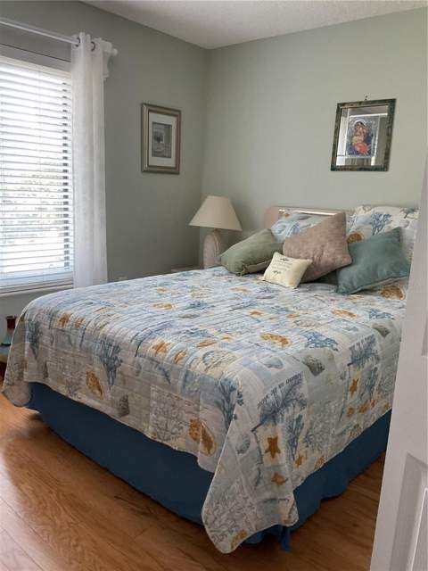 2655 Pine Ridge Way #D3, Palm Harbor FL - photo 17 of 31