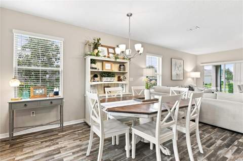 9467 Cinzel Alley, Winter Garden FL - photo 6 of 42