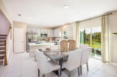 31576 Wild Grape Lane, Brooksville FL - photo 8 of 31