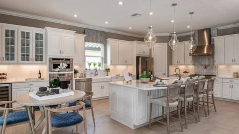 29680 Imperati Boulevard, Wesley Chapel FL - photo 6 of 38